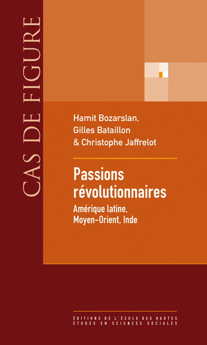 Hamit Bozarslan, Gilles Bataillon & Christophe Jaffrelot, Passions révolutionnaires. Essais autour de François Furet