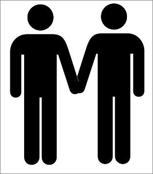 Être en couple gay. Représentations et vécu masculins de la conjugalité en France