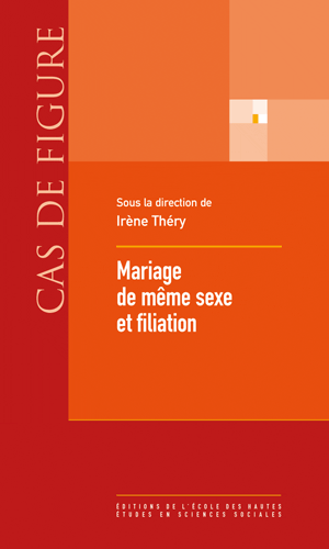 Irène Théry, Mariage de même sexe et filiation