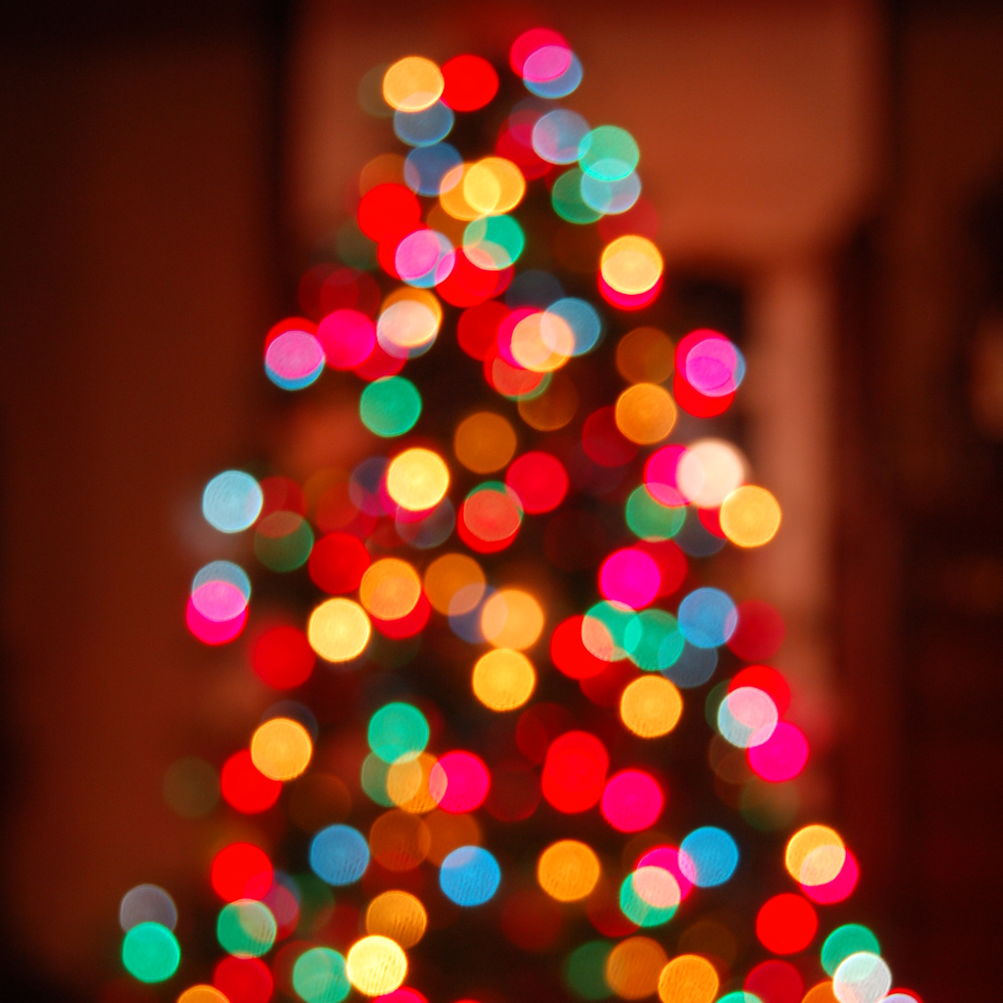 L’arbre de Noël du rectorat