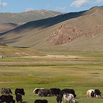 De la Mongolie à l’Asie centrale, identités nomades et organisation de l’espace régional : mémoire et représentations